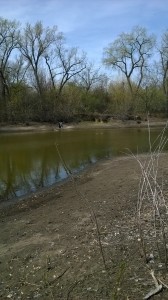 Cleaning up the pond.