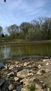 Sorry, you can't see them, but there were ducks on the pond while the clean-up proceeded.